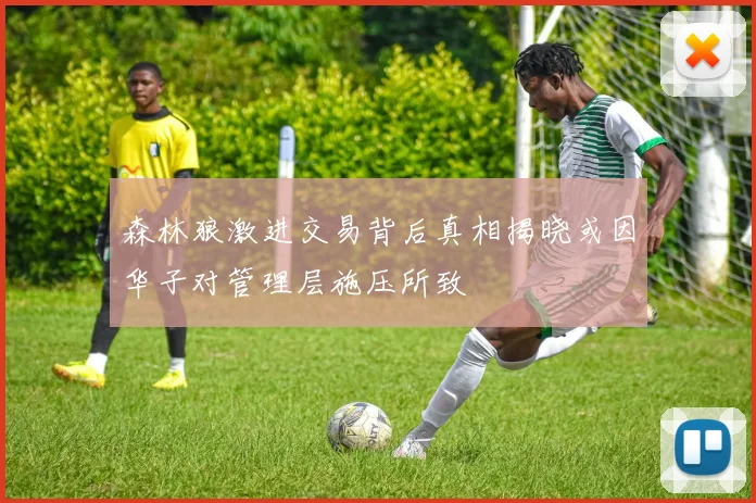 森林狼激进交易背后真相揭晓或因华子对管理层施压所致