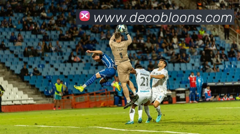 登录器